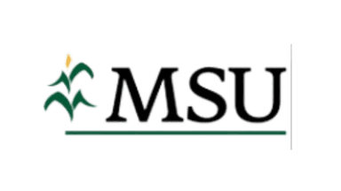 MSU